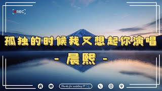 孤独的时候我又想起你演唱 - 晨熙, 找一個字代替 -小阿楓, 洋澜一《追梦人》✧❴不管多少年过去, 我始终没忘记 你在我的心底❵✧ Douyin和Tiktok洗脑神曲🔥【動態歌詞】