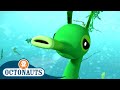 @Octonauts - Camouflage Operation | Cartoons for Kids | Underwater Sea Education