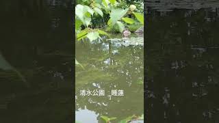 ぶらり散歩ー夏至　十勝清水町　清水公園