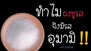 ทำไม! ผงชูรส จึงมีรสอุมามิ? | Arin Podcast