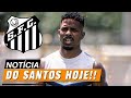 de saÍda do peixe bombou nas redes sociais hoje notÍcias do santos Últimas notÍcias do santos