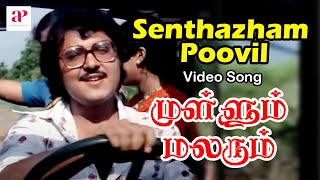 Mullum Malarum Tamil Movie Video Songs  Senthazham Poovil Video Song  Rajinikanth  Sarath Babu
