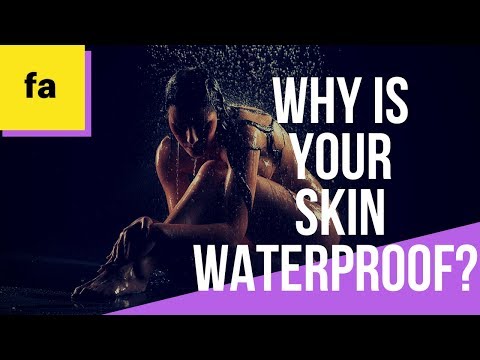 Which is responsible for waterproofing of skin?