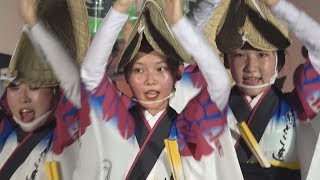 阿波踊り「下北沢やっとこ連」第46回経堂まつり（2019.7.20）