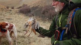 2019 Chukar Hunting