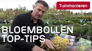 Bloembollen, in welke grond en wanneer plant je je bollen?