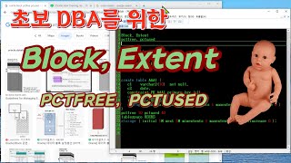 초보 DBA를 위한 Block, Extent, PCTFREE, PCTUSED 개념