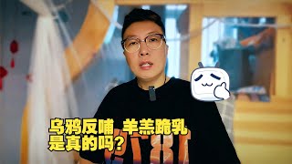 古人为何要写出乌鸦反哺羔羊跪乳的故事？用科学解读真相，才是理性思维的开始