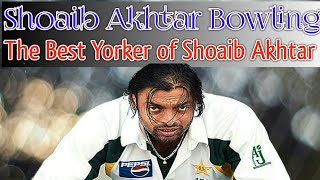 Shoaib Akhtar Bowling || Shoaib Akhtar Fastest Yorker