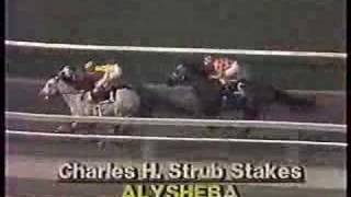 1988 Strub Stakes