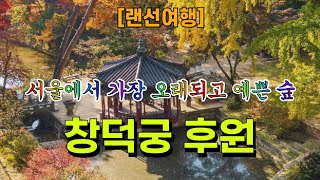 [랜선여행] 창덕궁 후원 🏞 서울에서 가장 오래되고 예쁜 숲 🍂