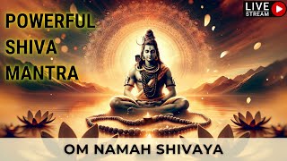 Om Namah Shivaya Chanting | Most Powerful Meditation Mantra | ओम नमः शिवाय