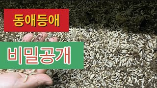 동애등애 공장 생산과정 공개. 문의. 010-5773-6981. 2021.04.09