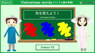 【90秒】ベトナム語で色(1)を覚えよう！Let's learn color