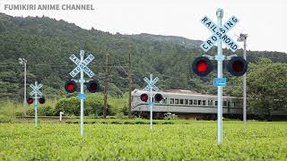 【電車】踏切動画【ふみきり 鉄道】train railway railroad crossing いろんなふみきり