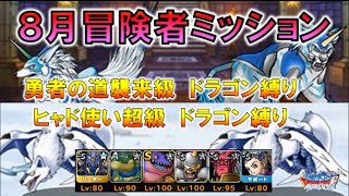 【DQMSL】2022年8月冒険者クエストミッション 勇者の道襲来級  ヒャド使い地獄級 ドラゴン縛り