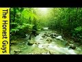 GUIDED SLEEP MEDITATION: Talk-down with Mountain Stream Nature Sounds