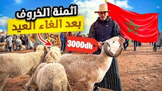 إنخفاض حاد في ثمن حولي 🐏من سوق السبت تيط مليل بجهة دار البيضاء 🇲🇦 بعد إلغاء شعيرة عيد ب01/03/2025