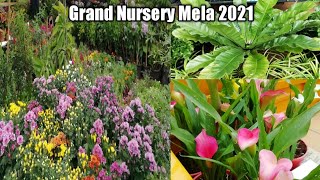 Grand Nursery Mela 2021 ll Complete view of plants exhibition llone place to get all gardening stuff