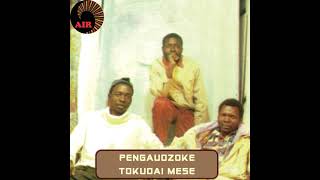 Sevenza mukadzi wangu my composition in Pengaudzoke album Pengaudzoke zvakare