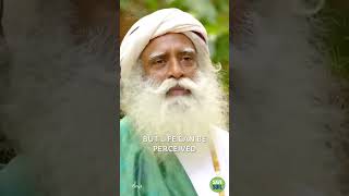 जीवन तब सर्वोत्तम होता है जब आसान हो, गंभीर न हो | #SadhguruSadupdesh | #SpreadWisdom