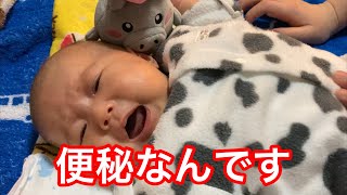 【生後47日目】便秘でお腹がパンパンです