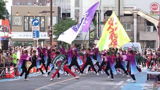 朝霞なるこ遊和会＠2022　浦和よさこい