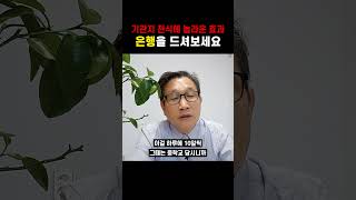 기관지 천식 치료에 도움이 되는 음식