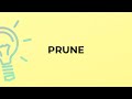 What is the meaning of the word PRUNE?