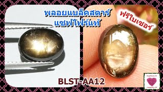 พลอยแบล็คสตาร์แซฟไฟร์แท้ 1.98 กะรัต ไซส์ 7*9.5 มิล มีใบเซอร์(BLST_AA12)