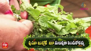 పుదీనా ఇంట్లోనే  ఇలా సులువుగా పెంచుకోవచ్చు | పెరటి రుచులు | 16th డిసెంబర్ 2022 | ఈటీవీ అభిరుచి