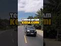 Terios hitam ini kena cumi di Jalan Lintas Sumatera #legendtoyota #cumidarat