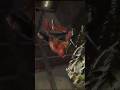 Spiderman Short Video game| Marvel Spiderman #shorts #gaming #gameplay #spiderman #spiderman2