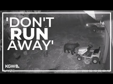 Are there bears in Forest Park Oregon?