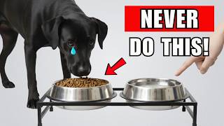 7 DEADLY Mistakes That SHORTEN Your Dog’s Life ( Vets Won’t Tell You)