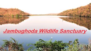 Jambughoda Wildlife Sanctuary l Dhanpari Eco Campsite l Bhaat Eco Campsite l Hathini Mata Waterfall