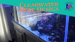 Clearwater Reef Design is here!