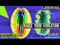 raise your vibration morphogenetic programmed audio