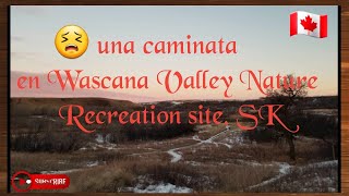 una caminata en Wascana Trails, Sk!🚶‍♀️🚶‍♂️😬😣hiking😓⛰