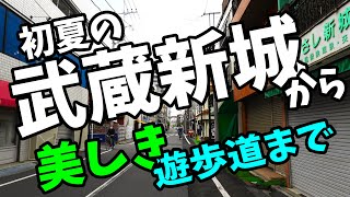 【南武線　武蔵新城から】昔ながらの味がある商店街から綺麗な江川せせらぎ遊歩道まで小旅行します！