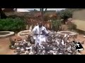 jowani masowe jerusarema baba ecos OFFICIAL MUSIC VIDEOˇ