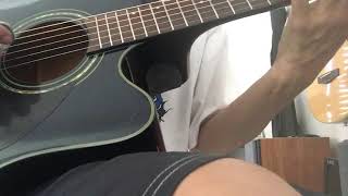 Greg Bennett Acoustic Guitar Demo Honestly