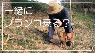 父の言う事が分かる娘猫の絵本みたいな散歩