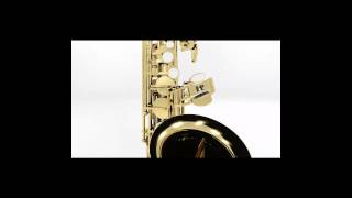 Alto Saxophone Rendered from 3DBOXX 4920 XTREME Workstation