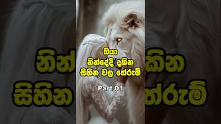 ඔයාටත් මේ හීන පෙනිලා තියද? 💤 meaning of dreams seen during sleep #dream #shorts #trending #viral