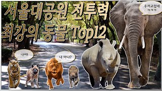 서울대공원 전투력 최강의 동물TOP12