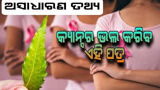 ଏହି ପତ୍ର ଭଲ କରିବ କର୍କଟ ରୋଗ#pratidinaodisha