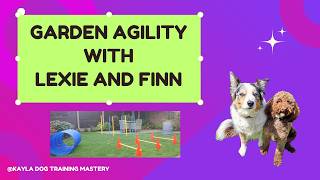 Just for fun, garden agility!