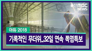 20181218 아듀 2018) 기록적인 무더위..32일 연속 폭염특보