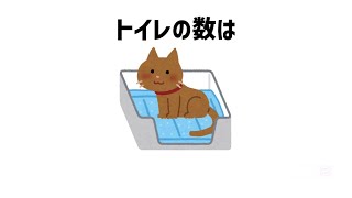 【雑学】意外と知らない猫に関する雑学🐱